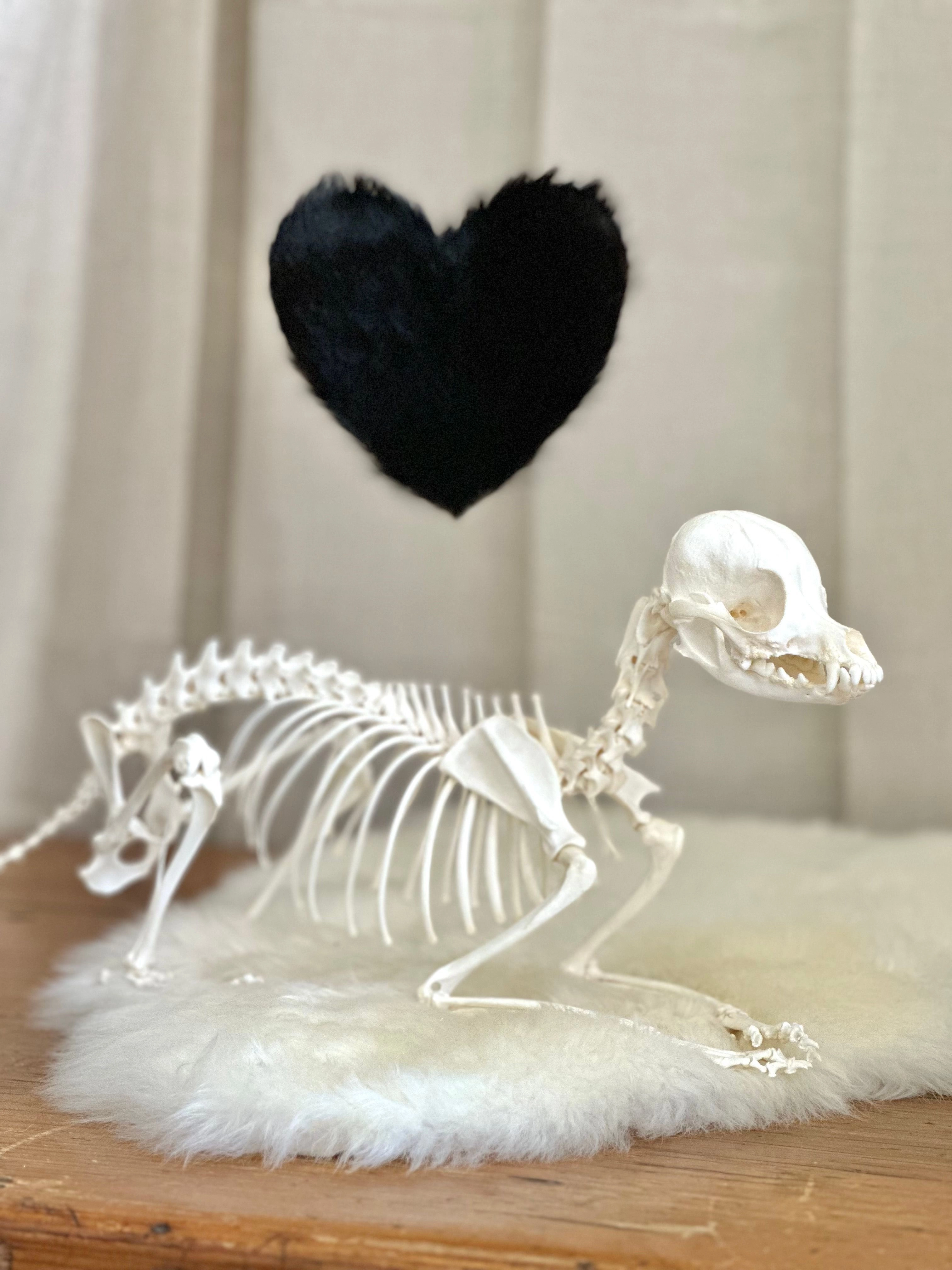 Skeleton and fur heart