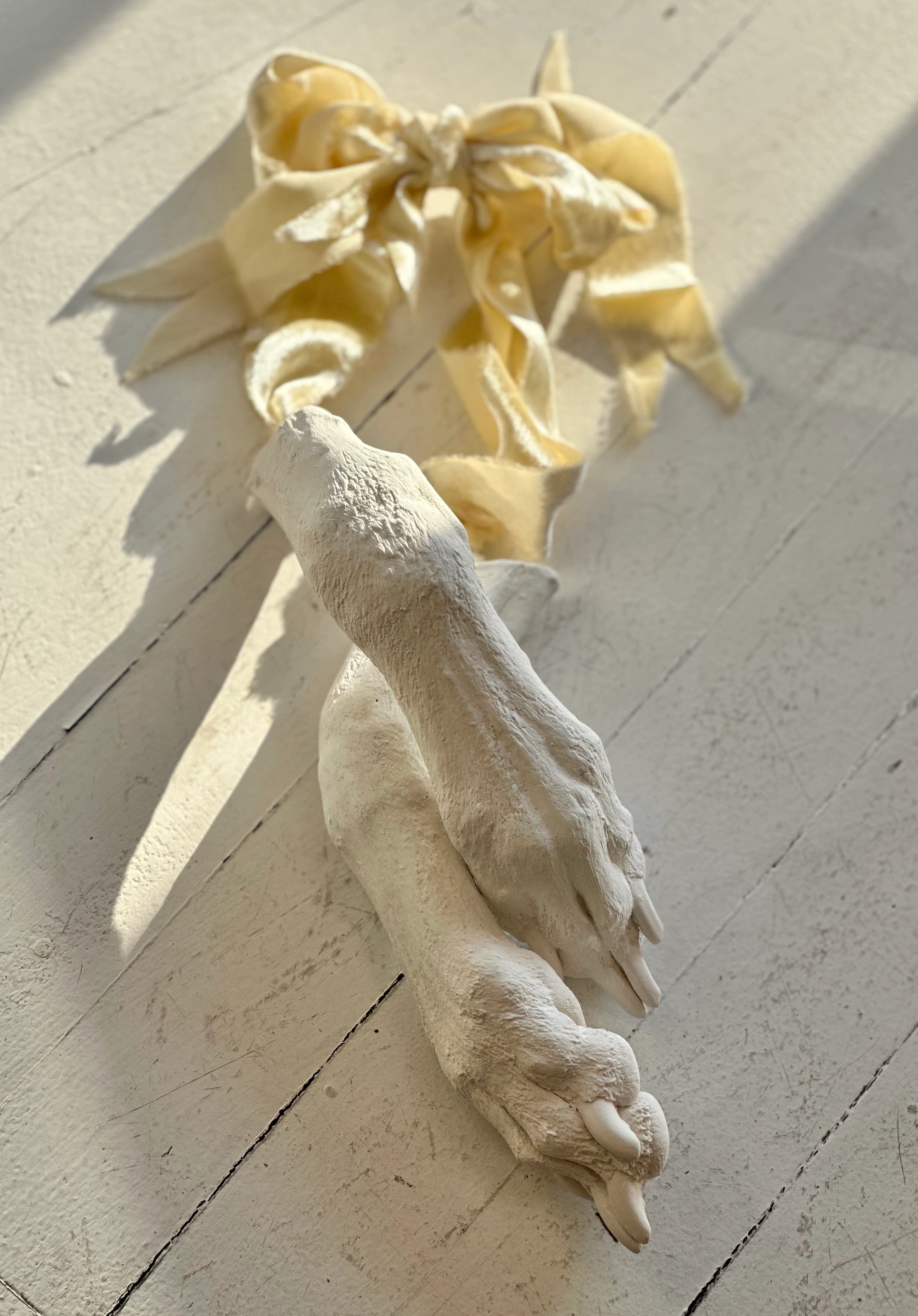 Paw casts with Whippet