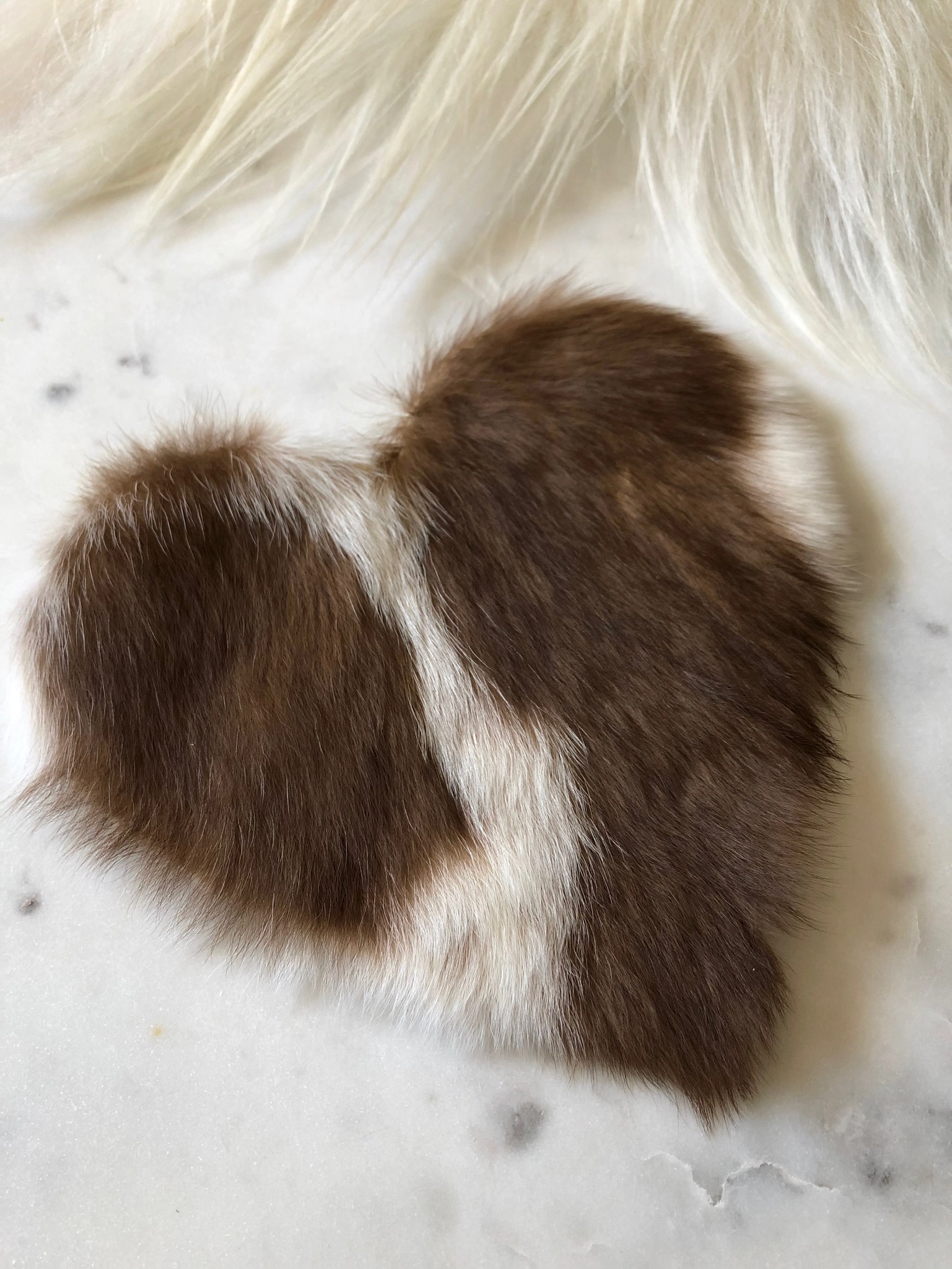 Mini heart-shaped coat preservation for Chihuahua