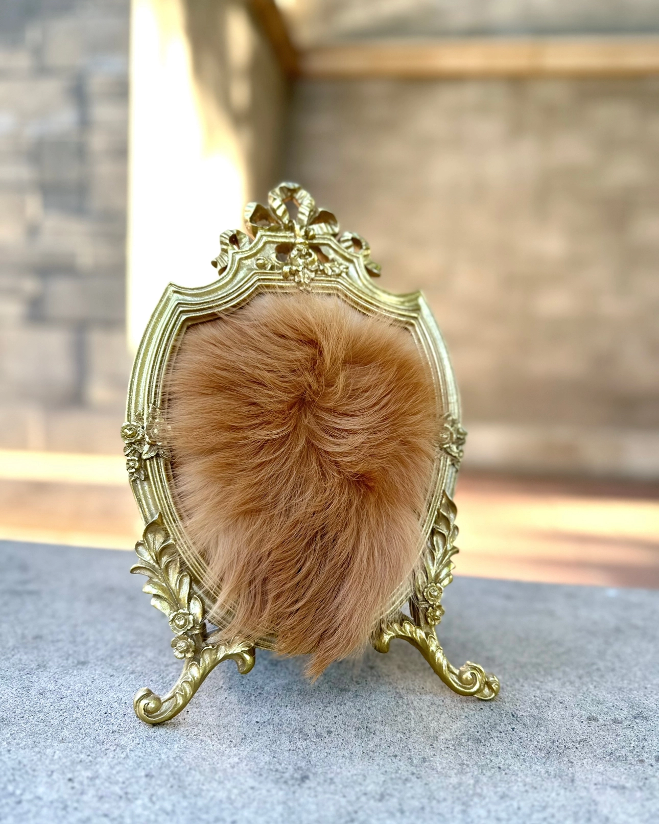 Framed long-haired coat preservation
