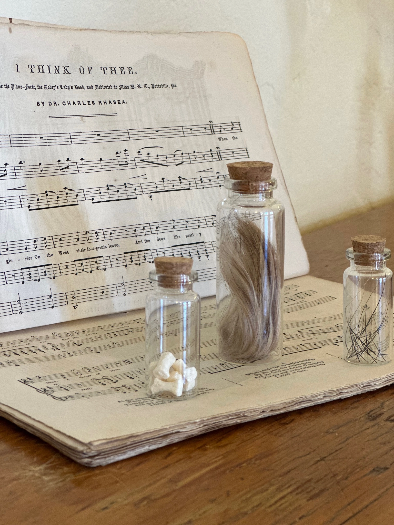 Hair and whisker collection with dog, with septum bone