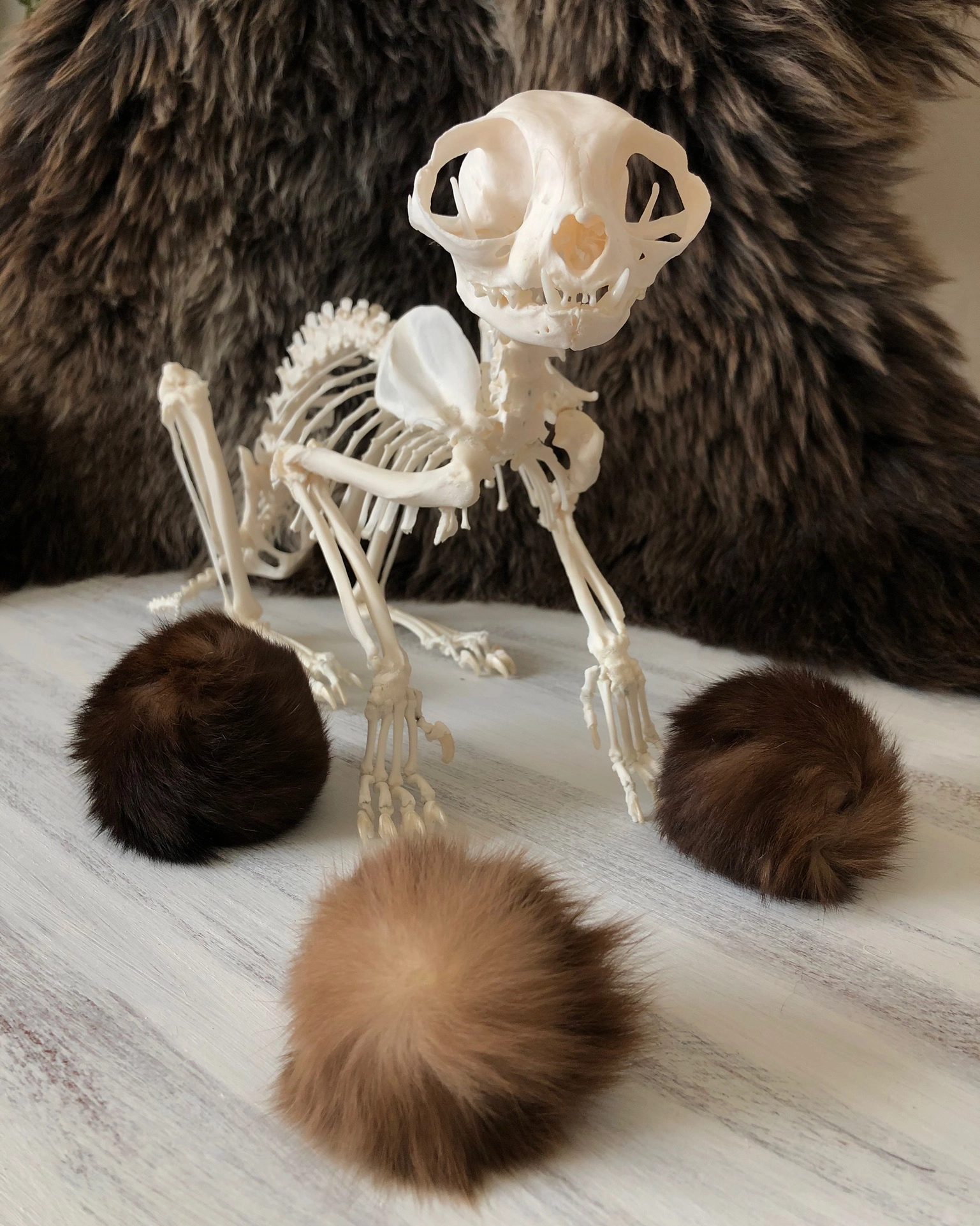 Skeleton cat fur balls