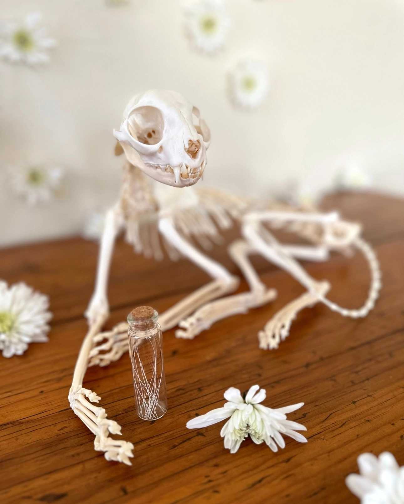 Skeleton with vial