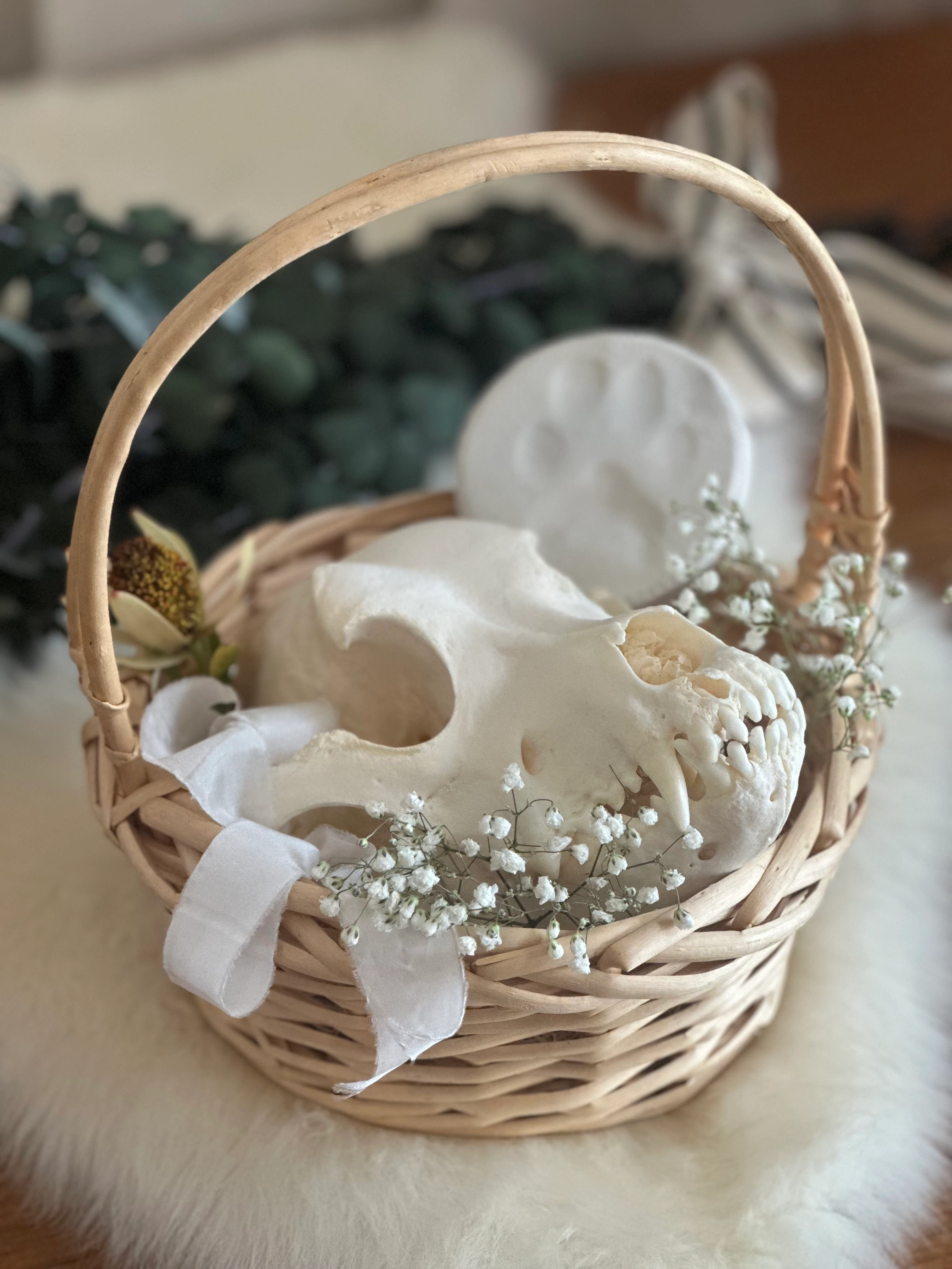 Skull in a basket